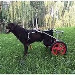 Die heilende Kraft der Bilder zur guten Besserung: Eine religiöse Analyse ihrer spirituellen Bedeutung und Produktvielfalt