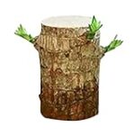 Schutzengel als spirituelles Geschenk für die Freundin: Analyse religiöser Produkte