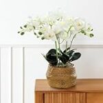 Die spirituelle Bedeutung von kleinen Geschenken für die Hochzeit: Eine Analyse der religiösen Produkte